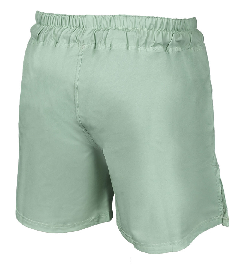 Okami Logo Fightshorts -mint